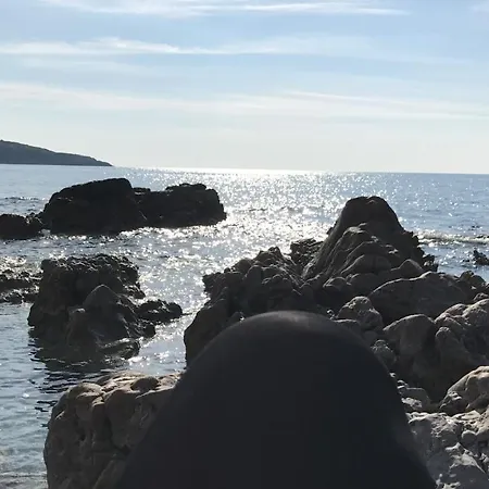 Sea Breeze